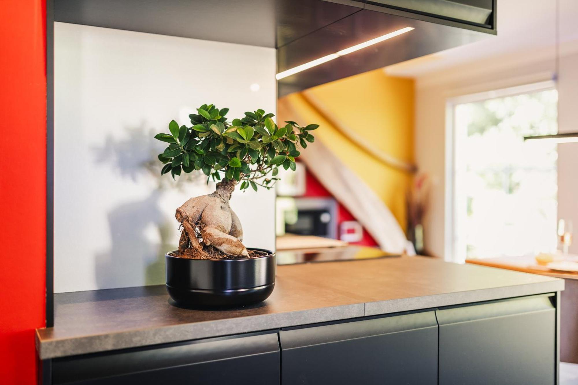 Ferienwohnung "Steernkieker" - Ankommen Und Entspannen Klausdorf  Extérieur photo
